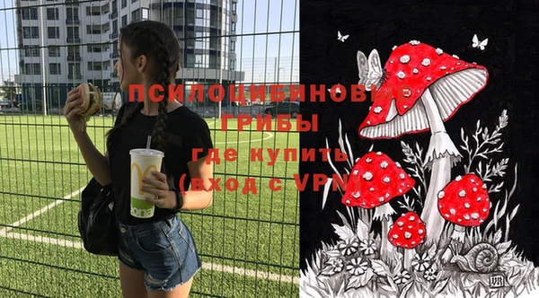 MDMA Краснослободск